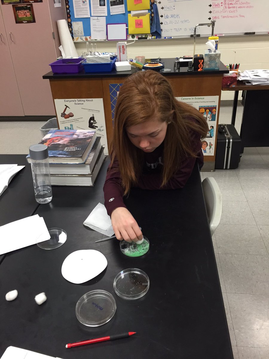 SchermsLHS's tweet photo. Physical science designing own procedure 2separate mixture Creative juices r flowing #LHSClassroom @LHSTigrInCharge https://t.co/Q9FvEq16qd
