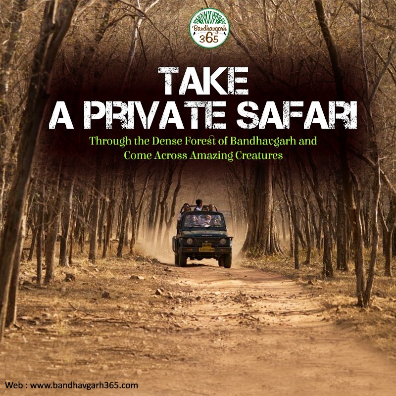 bandhavgarh365's tweet image. Take A #PrivateSafari Through #DenseForest Of #Bandhavgarh &amp;amp; Come Across Amazing Creatures. bit.ly/1P2uvhH