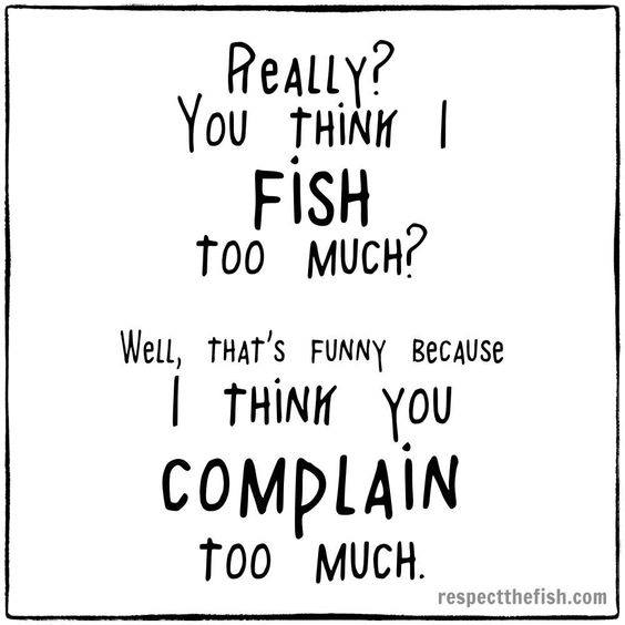 fishboxapp's tweet photo. You can not have a lot of fishing! https://t.co/SFbAnpmd2R
