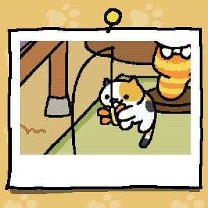 jolandakittycat's tweet photo. #ねこあつ xxx https://t.co/qA4L24xYPP