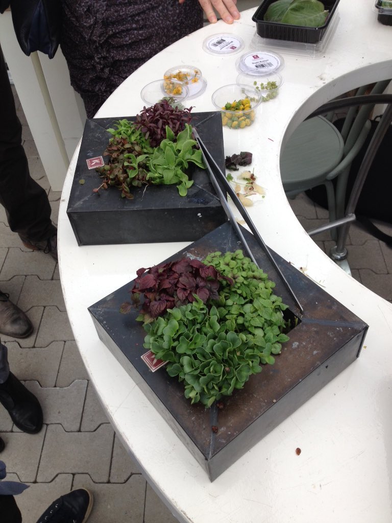 Goed pak. Wereldsmaken in piepkleine plantjes proeven. Food Inspiratiedag #ovp <a href="/koppertcress/">Koppert Cress</a>