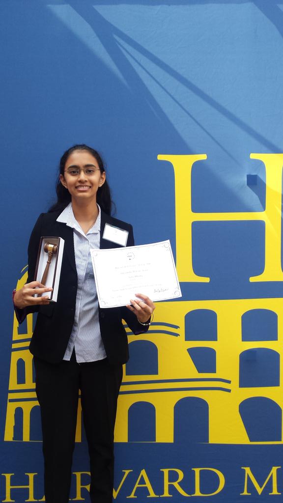 DSB MUN Rome 2016 tweet media