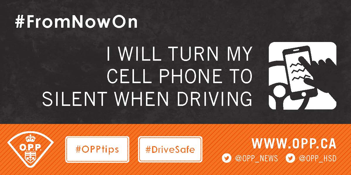 OPP_HSD tweet picture