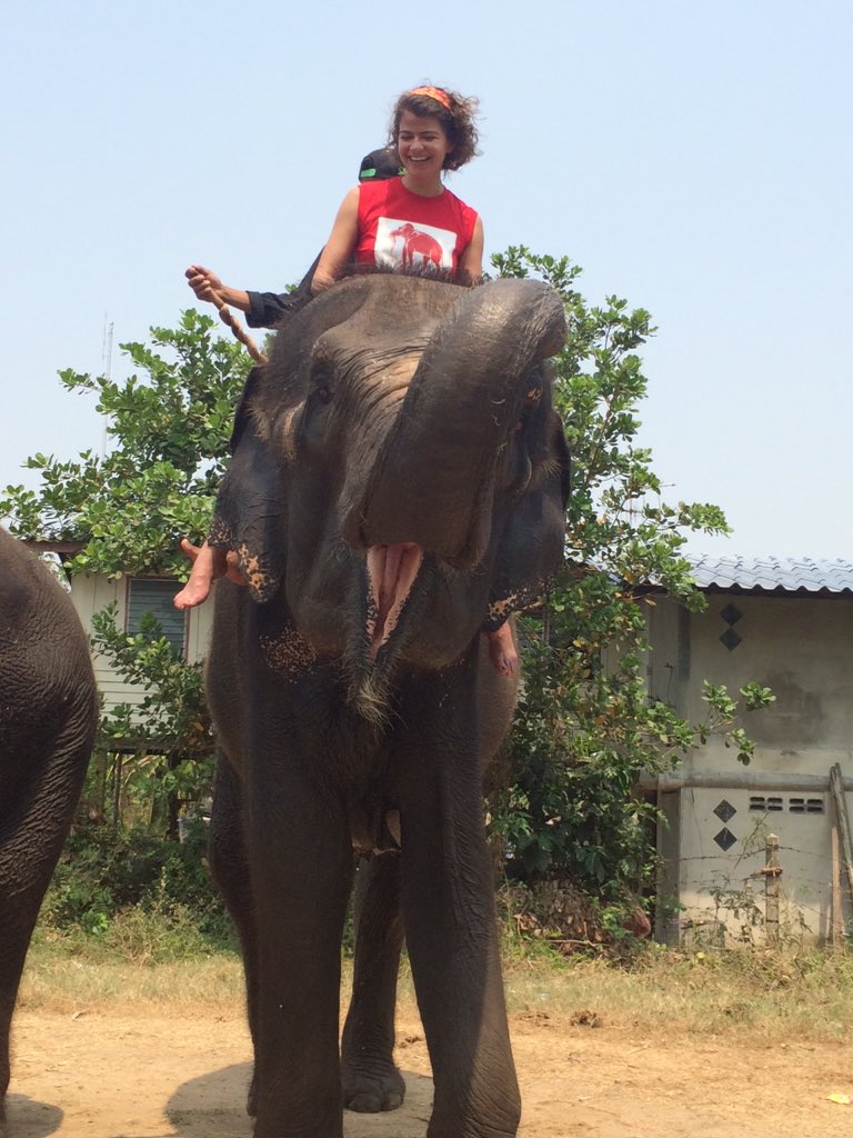 bucksortn's tweet image. 1st day on Thai adventure! Learning lots about elephants Taking care of elephants is hard work! #elephantstay
