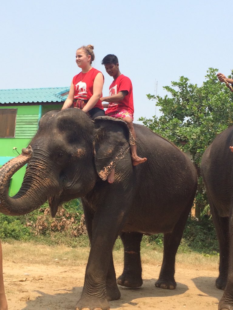 bucksortn's tweet image. 1st day on Thai adventure! Learning lots about elephants Taking care of elephants is hard work! #elephantstay