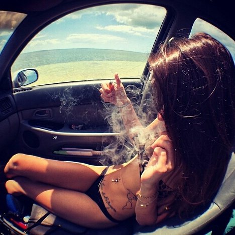 GUEZ420's tweet photo. YES WE CANNABIZ #GÜZ
#coasttocoast #noturnunstoned #buffibuffi #weedporn #guzgang https://t.co/sAzK0lgE0o