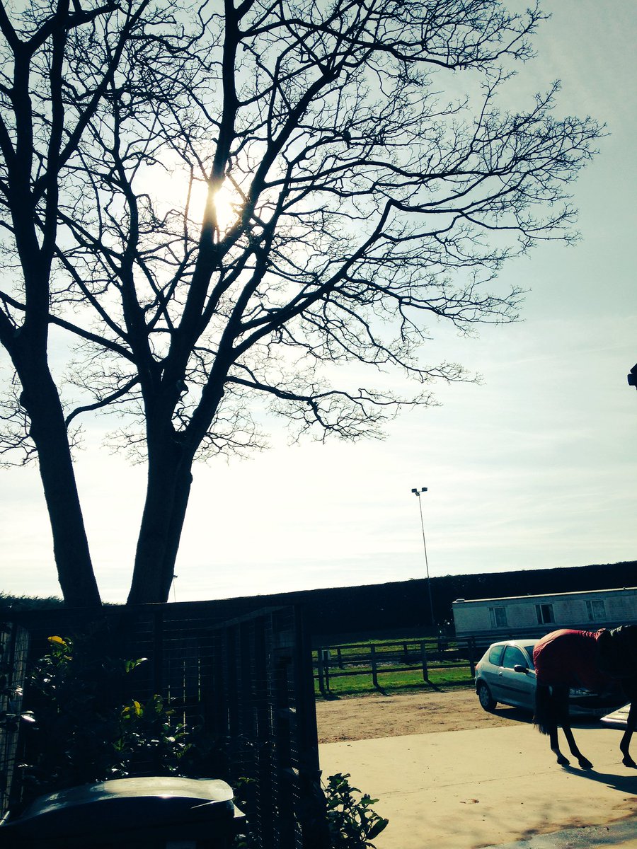 TheLifeofBoo's tweet image. Beautiful day at home today... Happy Monday everyone🌻🌞 #somerford #mondayfunday