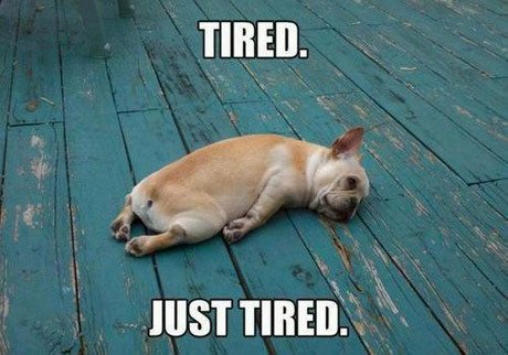 Having to function the day after a <a href="/NEACURH/">NEACURH</a> conference is the worst