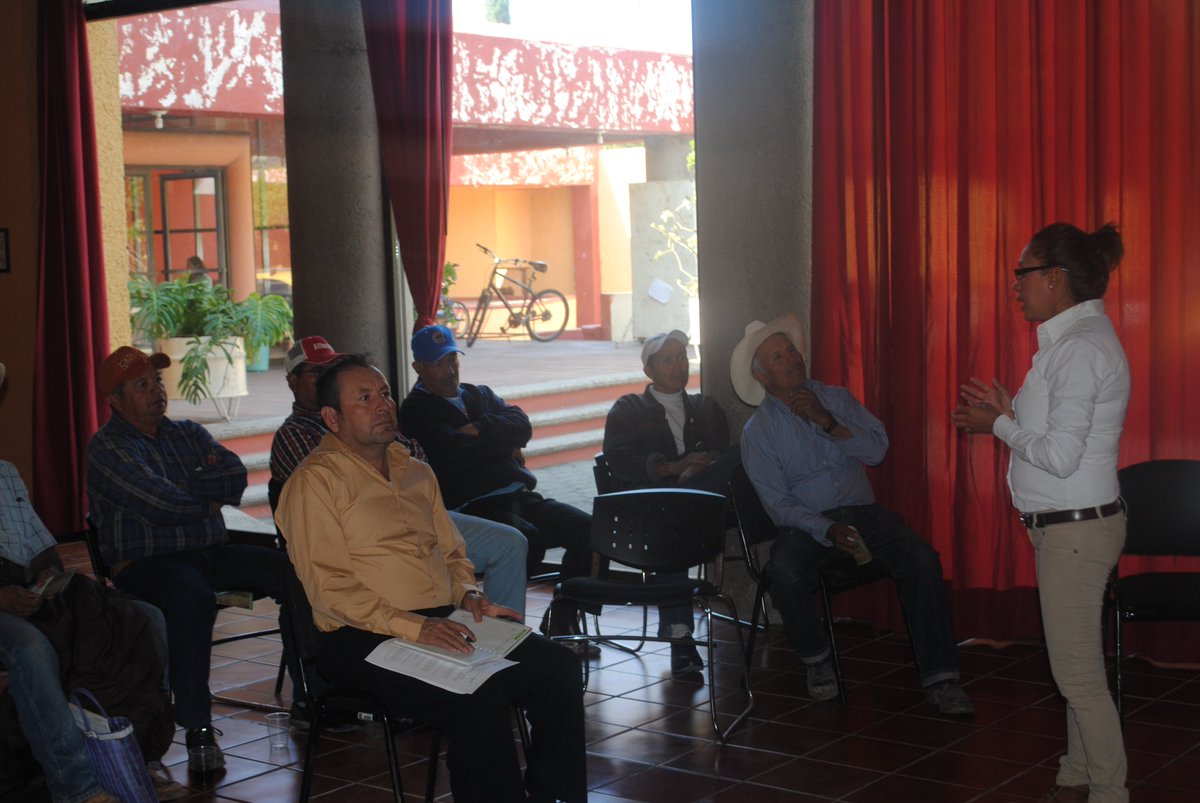 Tarimoro, Gto. tweet media