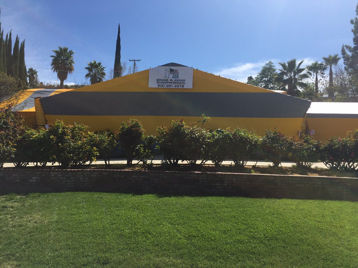 QualityPestSVC's tweet photo. Guess what?! It's National Termite Awareness Week! https://t.co/E6YXeciGyZ
#TermiteWeek #fumigation #termite https://t.co/psohNl4C2a