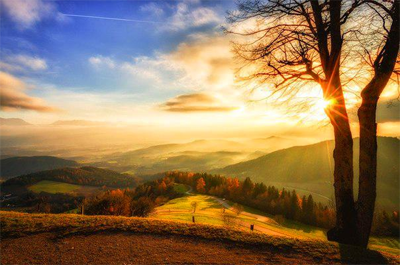 FridaMaha's tweet image. 