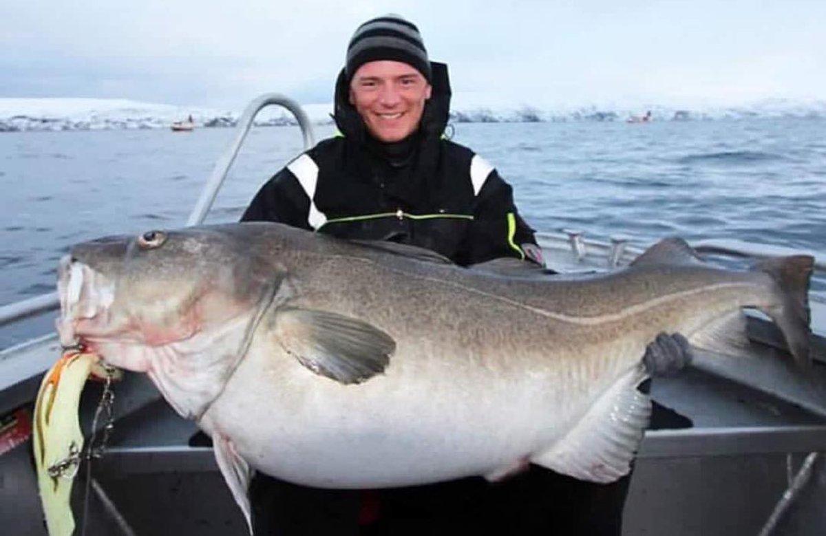 Holy Mary mother of cod