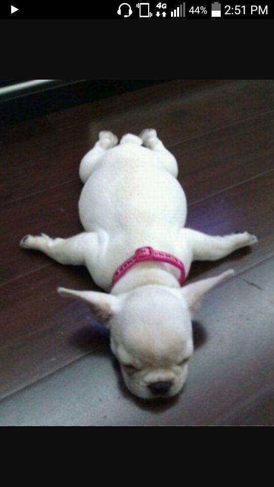 RyanBre49326275's tweet photo. School got me like.... https://t.co/2iA5p5rue2