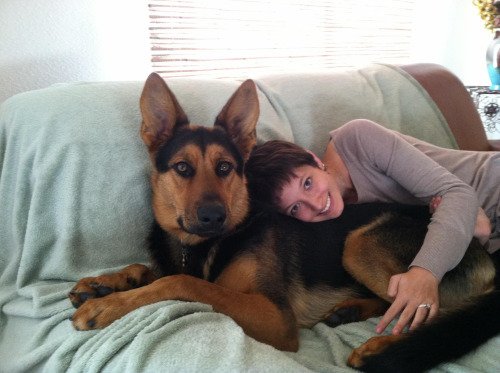 monkey_memes's tweet image. My monster 1 year old GSD Gretzky; 5’9″ wife for scale
#memes #funnypics #funnymemes #lol