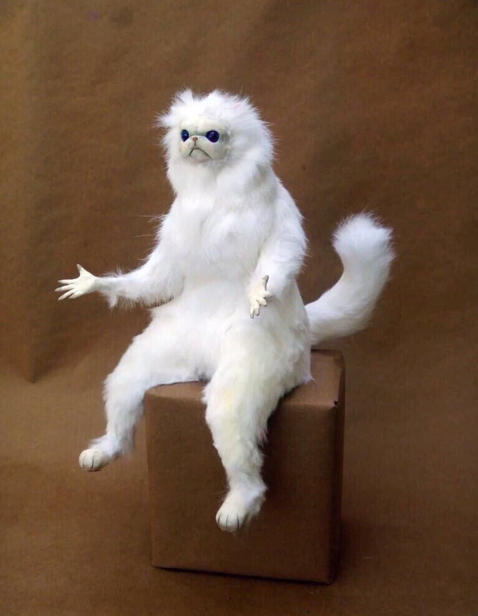 NotTylerHarris's tweet photo. Americans to the Electoral College after George Bush Jr won the election without the popular vote #MemeHistory https://t.co/P3BWmkY7Cy
