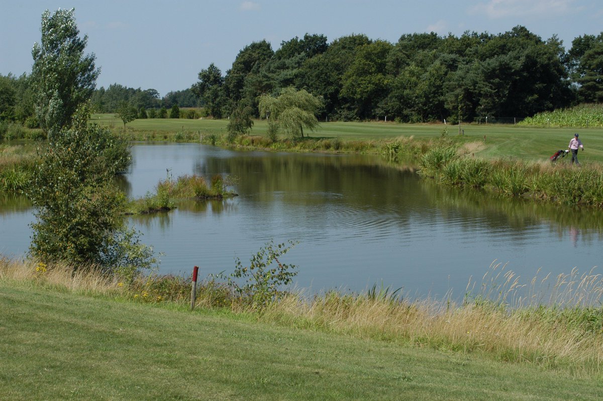 Golfnl's tweet photo. Golfballen opduiken en verkopen voor goed doel: onderdeel van evenement op @GCMartensplek - https://t.co/NhnDTtwkVX. https://t.co/emwoLckBCX