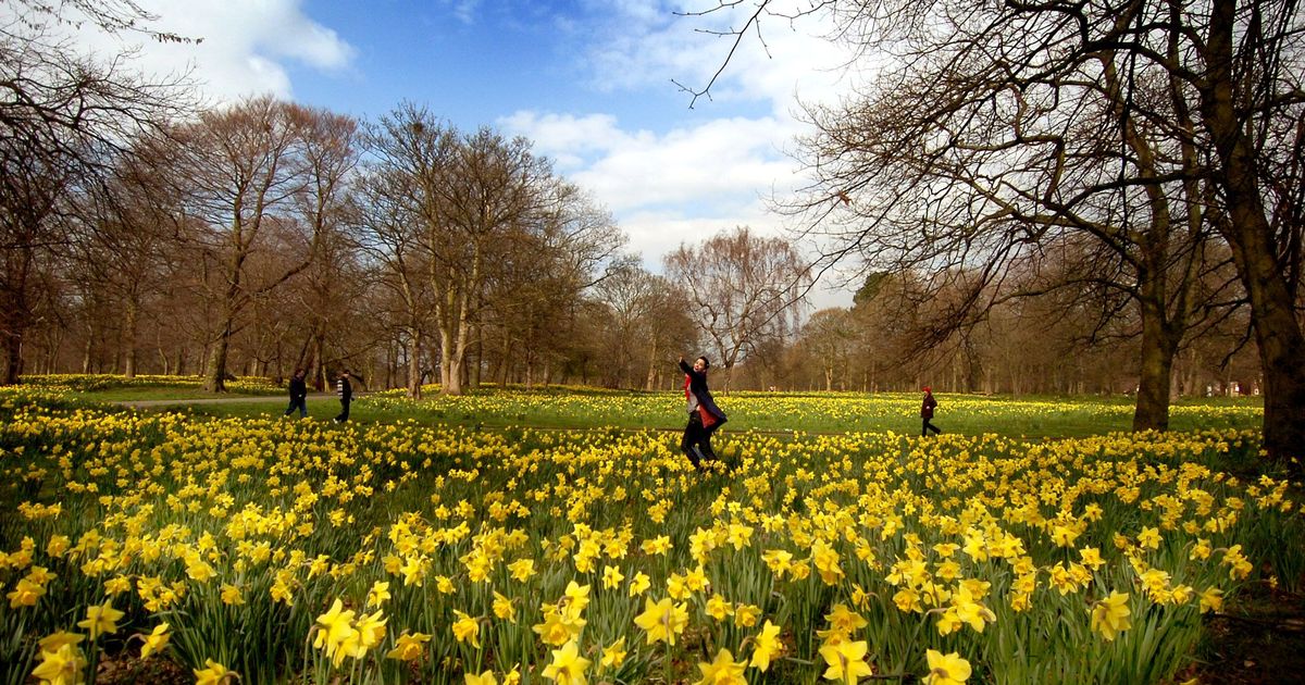 CaveauLVP's tweet photo. Spring is looking springier by the day Liverpool! @YeCrackePub @VanGuardElect1 @Merseycabbie https://t.co/cHqDXRz6mV