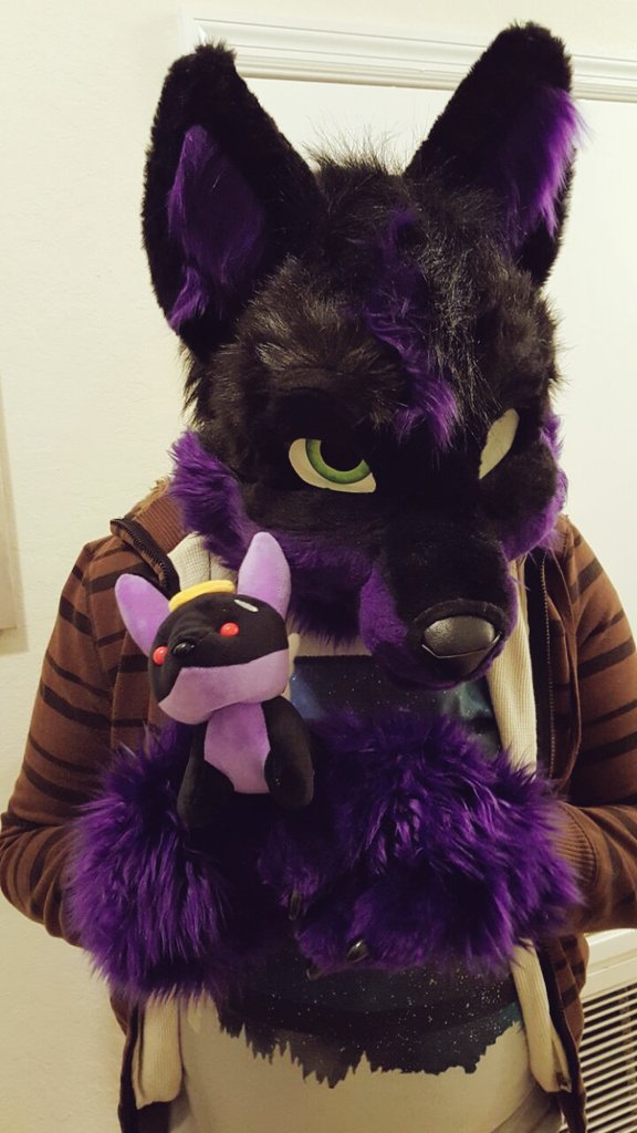 TheRadPandas's tweet photo. #FursuitFriday PURPLE DAG RT @Baileys_Fox "Pup and teeny pup :> https://t.co/sjAreqHReT"