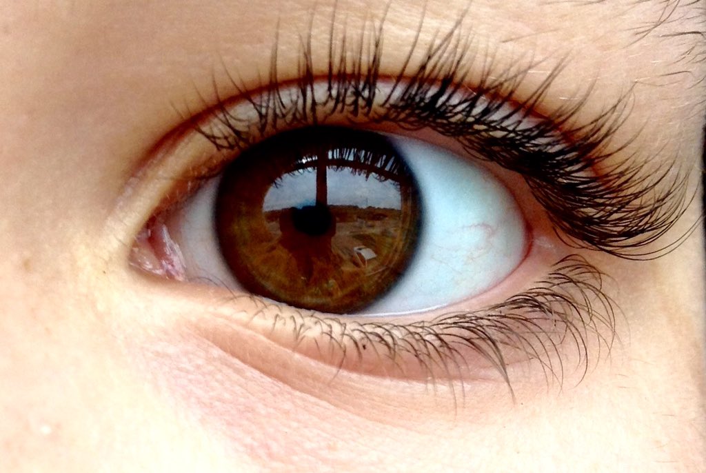 TWDVICK's tweet image. 👁👁👁