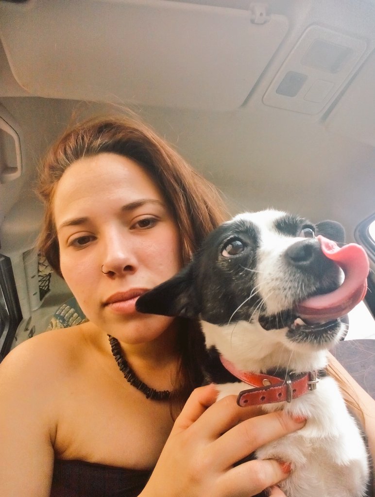 soniafm1990's tweet photo. Mi niño #MascotaAlfares https://t.co/oOzoVDnQQv