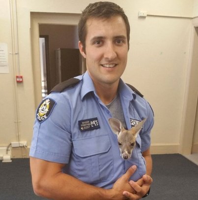 En Australie, un policier adopte un bébé kangourou orphelin
le-fil-good.fr/australie-poli…
La vidéo vue 12millions de fois