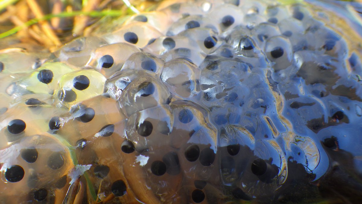 Anne Carter tweet media