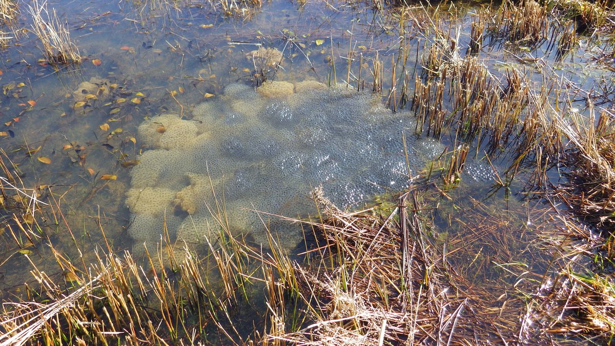 Anne Carter tweet media