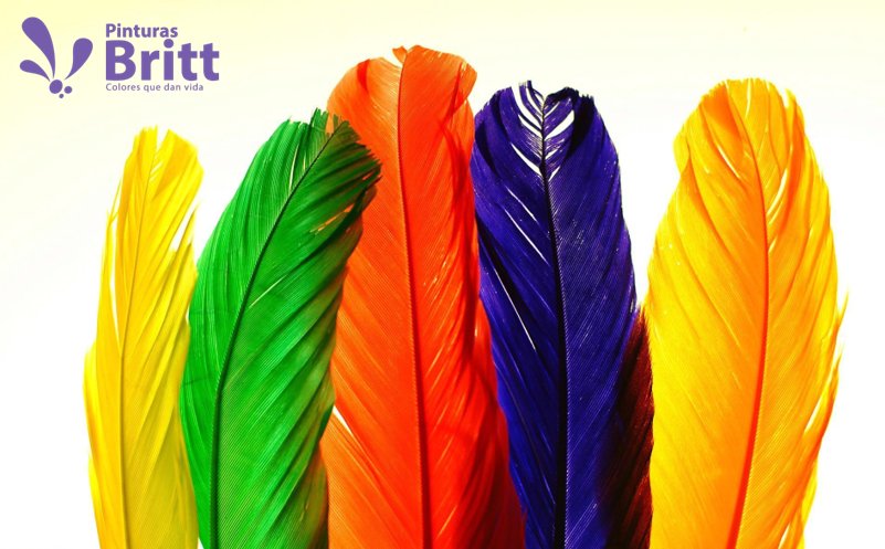 PinturasBritt's tweet photo. #PINTURASBRITT - El día es como el arco iris, lleno de maravillosos colores. https://t.co/5Ddu8SerSA