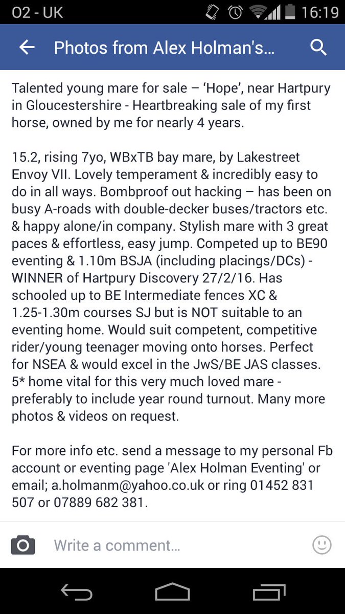 aholmaneventing's tweet photo. FOR SALE my lovely Hope...  Please RT. https://t.co/bn9zbslJLU