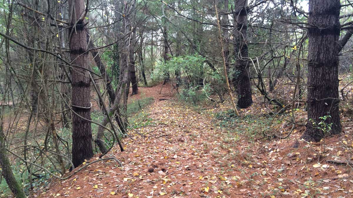 Wedding venue &amp; eco ed center @ new natural cem show #greencemetery not about burial only: tiny.cc/ss419x