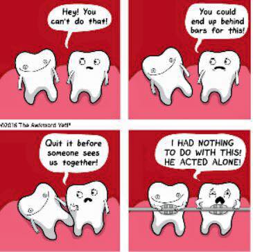 DrAkadOrtho's tweet photo. #orthodontic humour https://t.co/bDG5StP5E6
