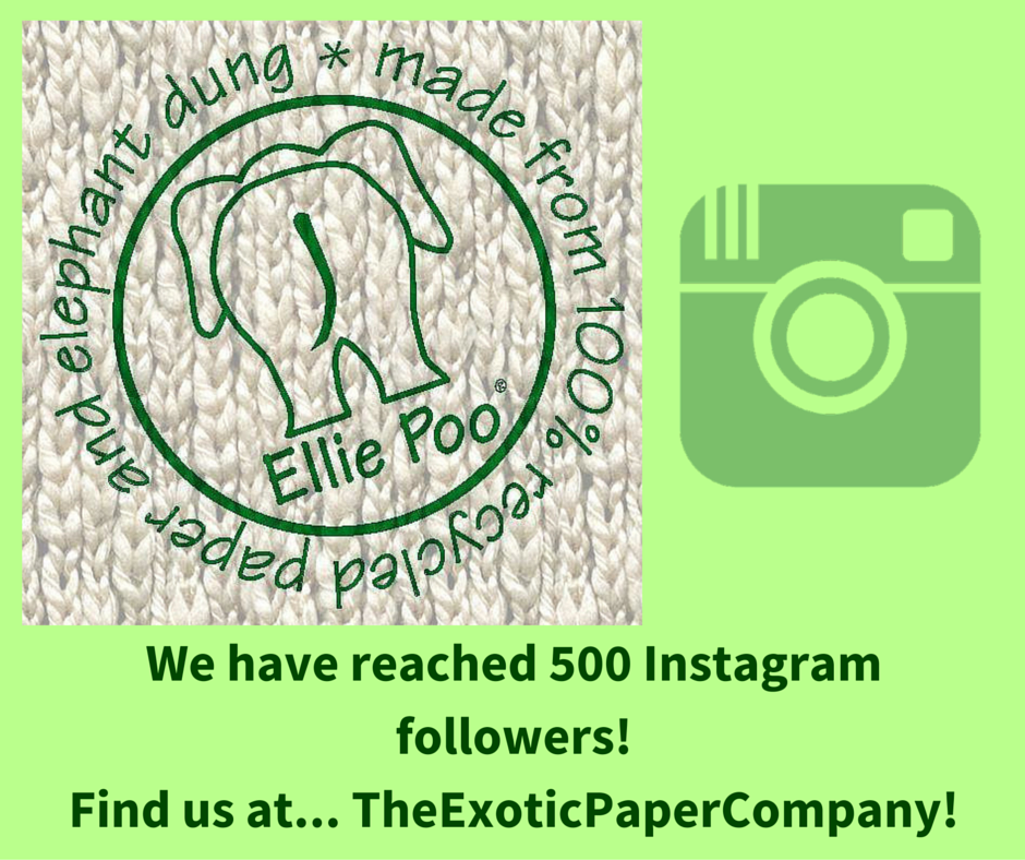 exoticpaperco tweet picture
