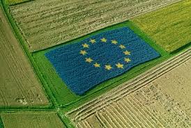 JeunesAgri49's tweet photo. L'UE a donné un accord à la Fr pour essayer l’étiquetage origine  viandes et lait dans les produits transformés. https://t.co/nRzYjQpwcW