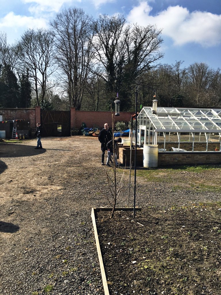 clearvillageorg's tweet photo. Beauty of a day at #BedfordsPark #CommunityGarden Open Day! Follow @B_WalledGarden for upcoming programmes #Havering https://t.co/k15XEDBWwC