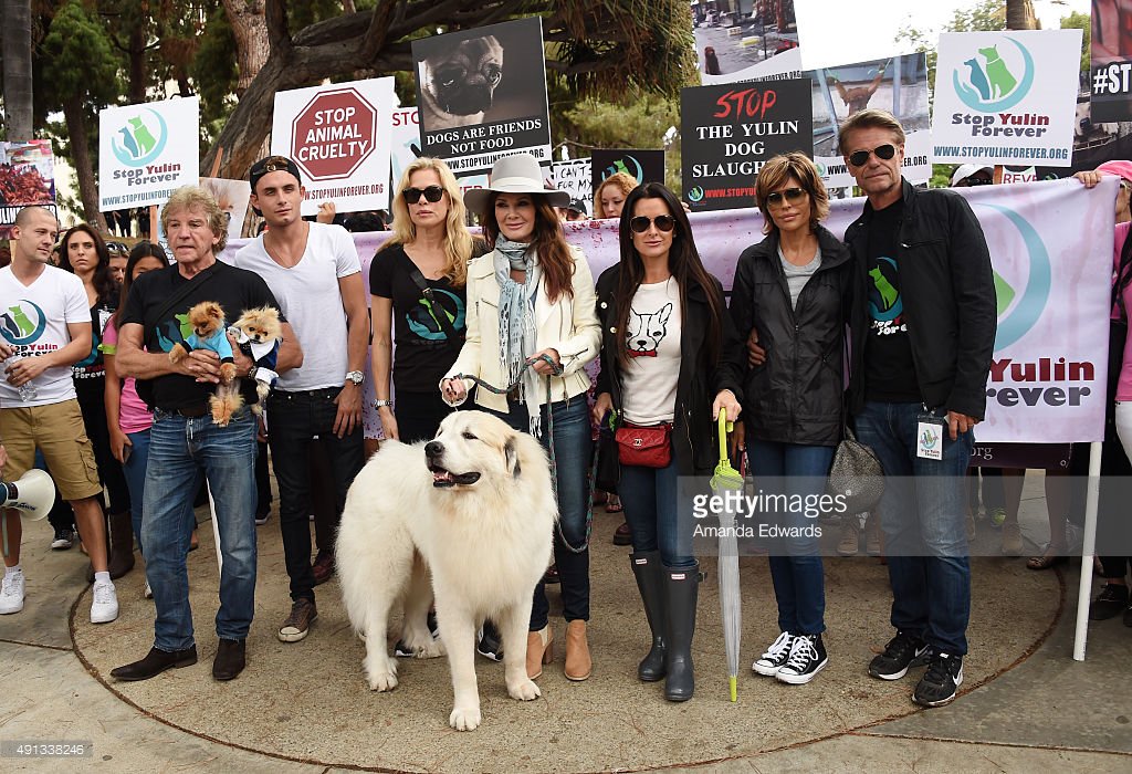 stopyulinforevr's tweet photo. Visit https://t.co/LsVCd23RW9 for upcoming initiatives and stay up to date on what we’re currently working on! https://t.co/5MOjQ51EBe