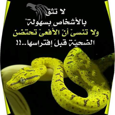 الحب عذاب (@bekoo1006040) on Twitter photo 