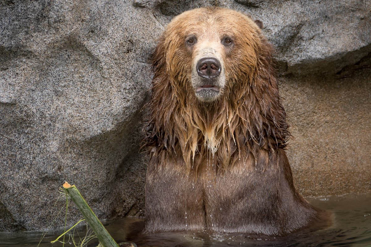 That face you make when you realize your an hour late for work. 😳 #DaylightSavingsTime (pic: Helene Hoffman)