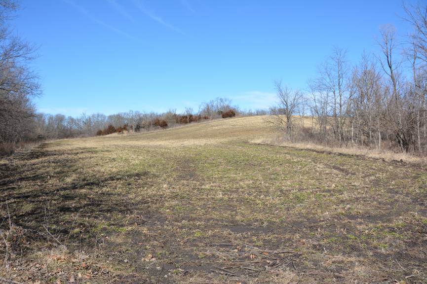 Whitetail Land Sales (WhitetailLand) Twitter