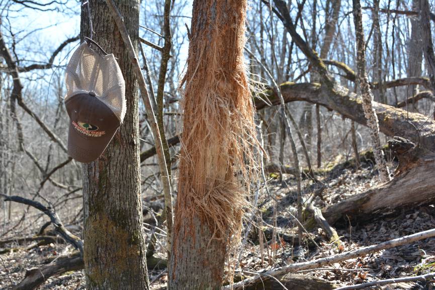 Whitetail Land Sales (WhitetailLand) Twitter