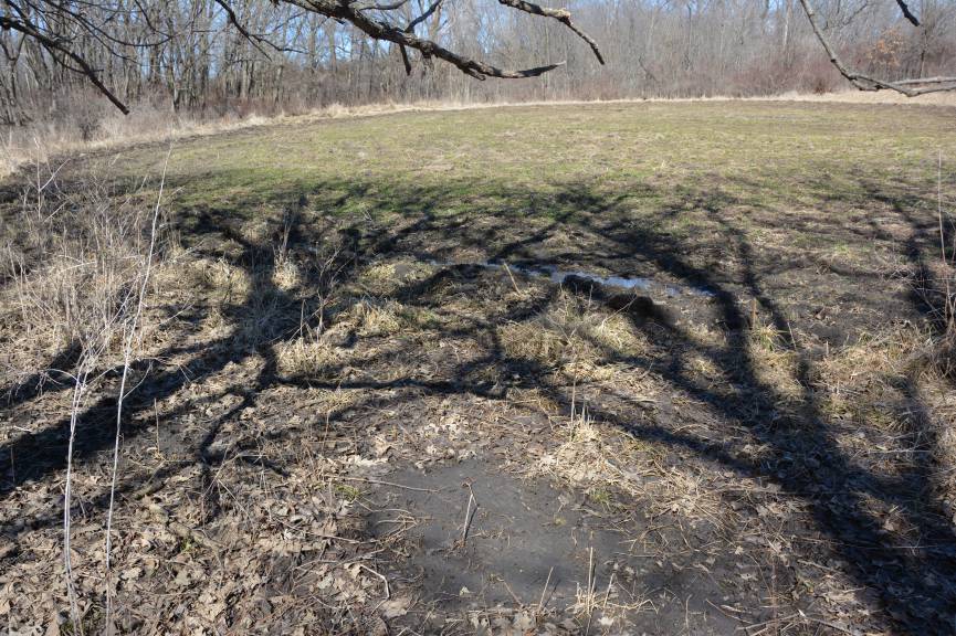 Whitetail Land Sales (WhitetailLand) Twitter