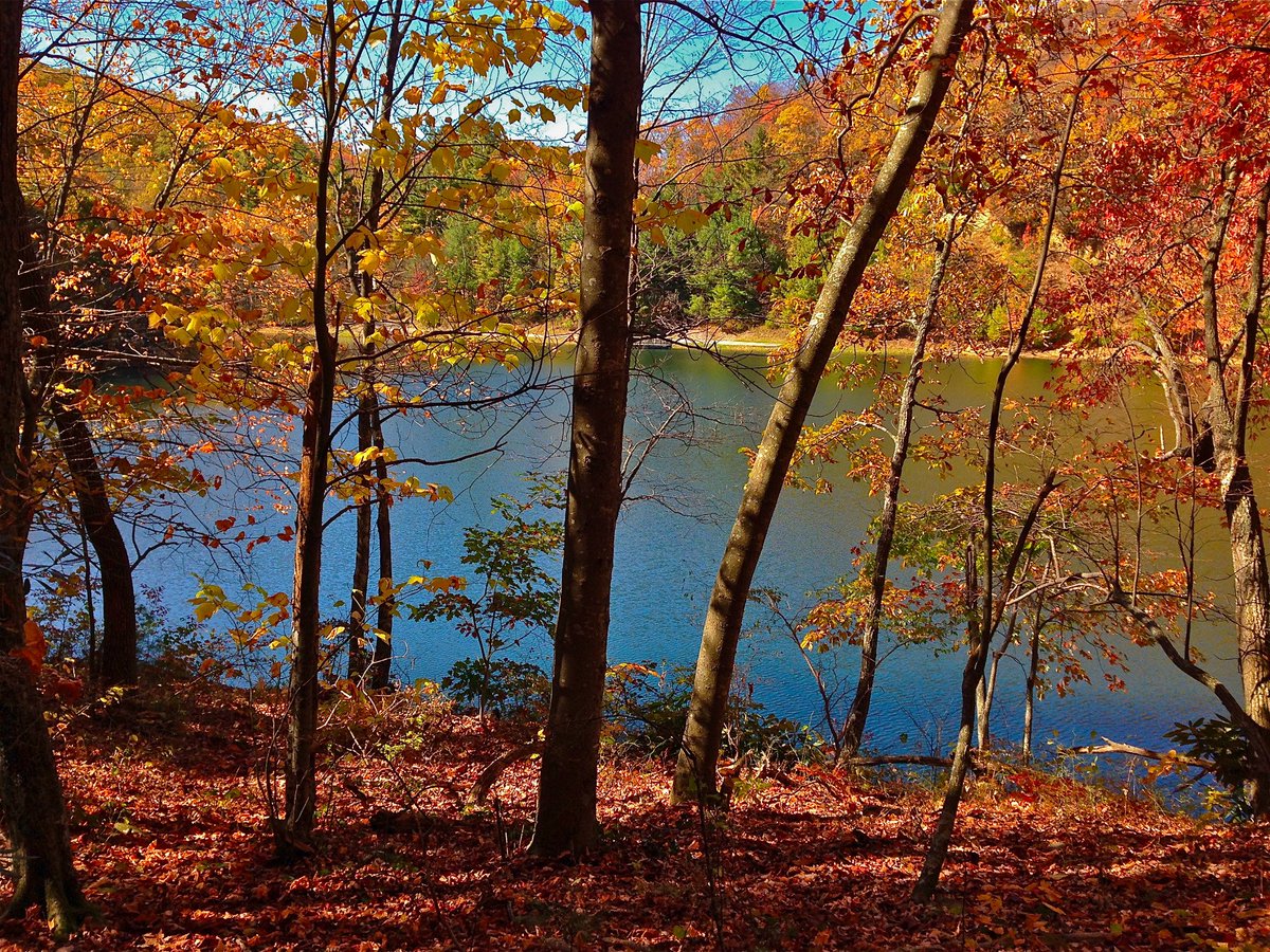 HighKnobOutdoor's tweet photo. Meeting 5:30 p.m. 3/16 for #trailrunning @cityofnortonva Flag Rock Recreation Area. https://t.co/Kx5kTbhNZa https://t.co/a9JTRm6mTJ