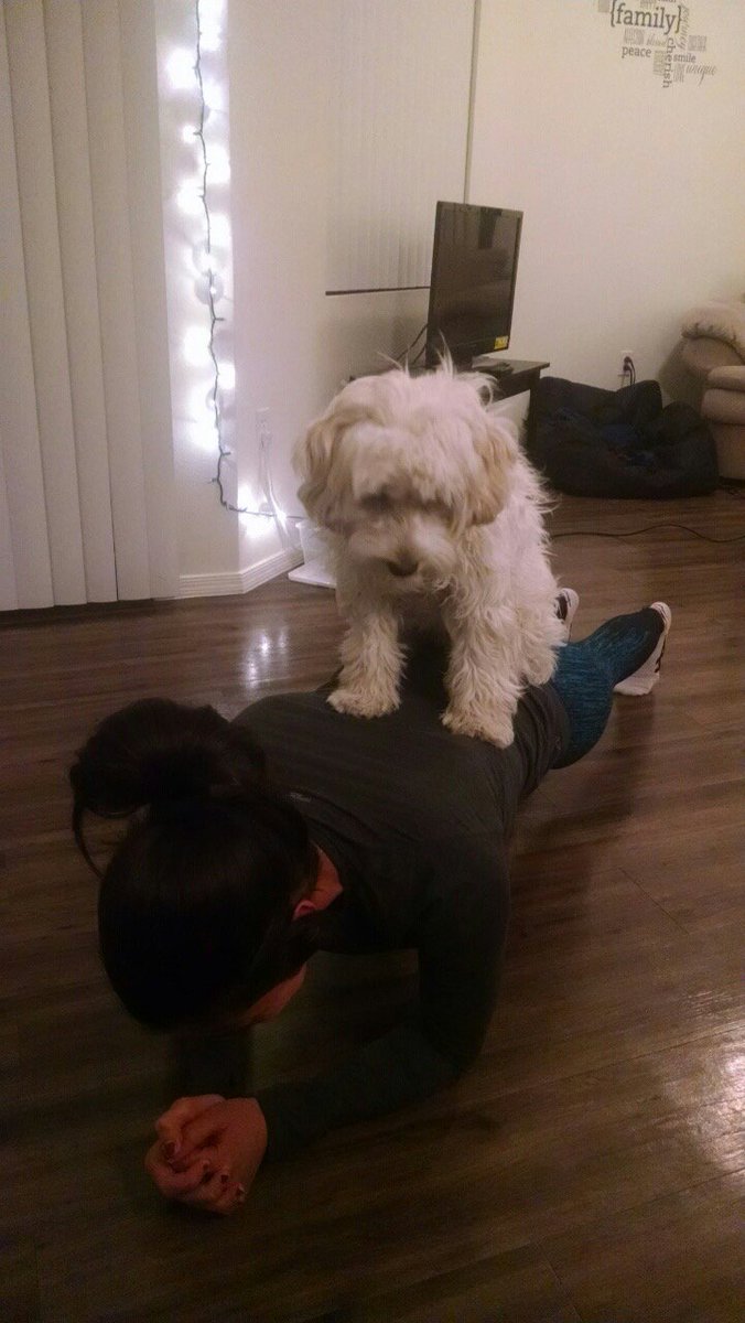 myredtravelshoe's tweet photo. Don't forget to have fun during your #workout.Find a #workoutbuddy & mix up the #exercises! Who is your #workoutbud? https://t.co/zzEItEcYPx
