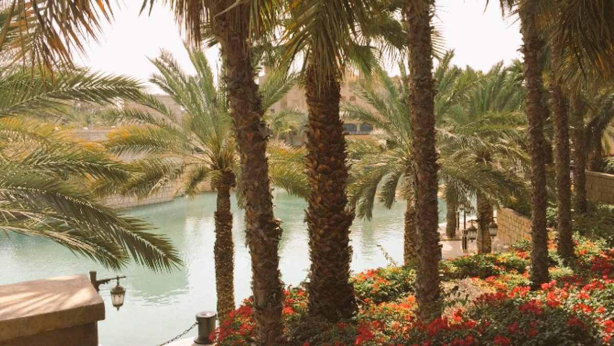 BDAdrian4's tweet image. #SpringBreak2015 was dope af #DubaiBoyz 🇦🇪🌴🌊🌤🐪👳🏼