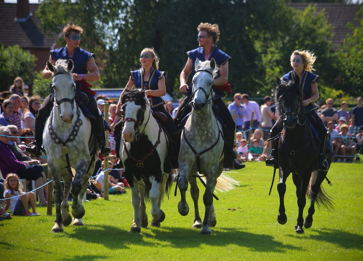 Atkinson Action Horses will be one of the star attractions at Howden Show 2016.