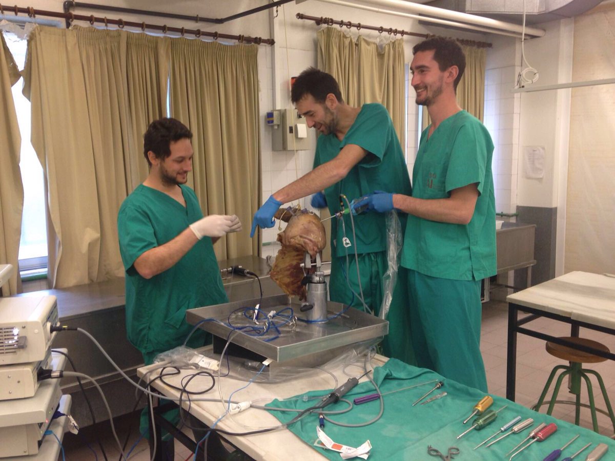 Colaborando con él Master de Anatomia aplicada, #ArtroscopiadeHombro. Con la ayuda de <a href="/aldimesa/">Aldimesa.Academy</a>