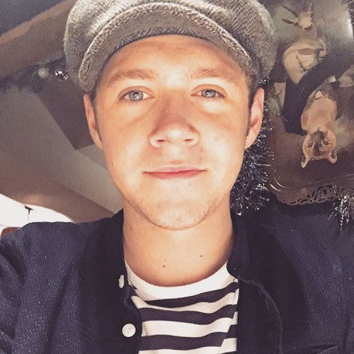 nhIibrary's tweet photo. Niall Horan: King of selfies https://t.co/9jKYkHJCdS