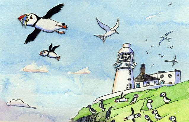 Good evening #northeasthour. Apparently the puffins are back! @wearesparkle #northumberlandhour #puffins