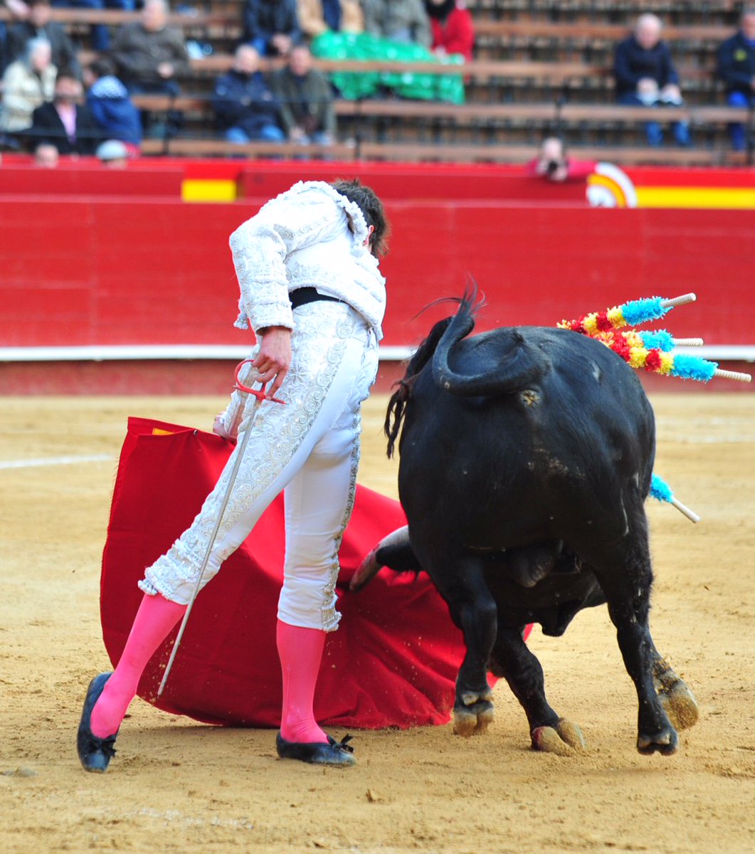 EVENMARENOSTRUM's tweet photo. Imágenes de la tarde de hoy en Valencia
#Fallas2016 https://t.co/7cVgvyCrrh