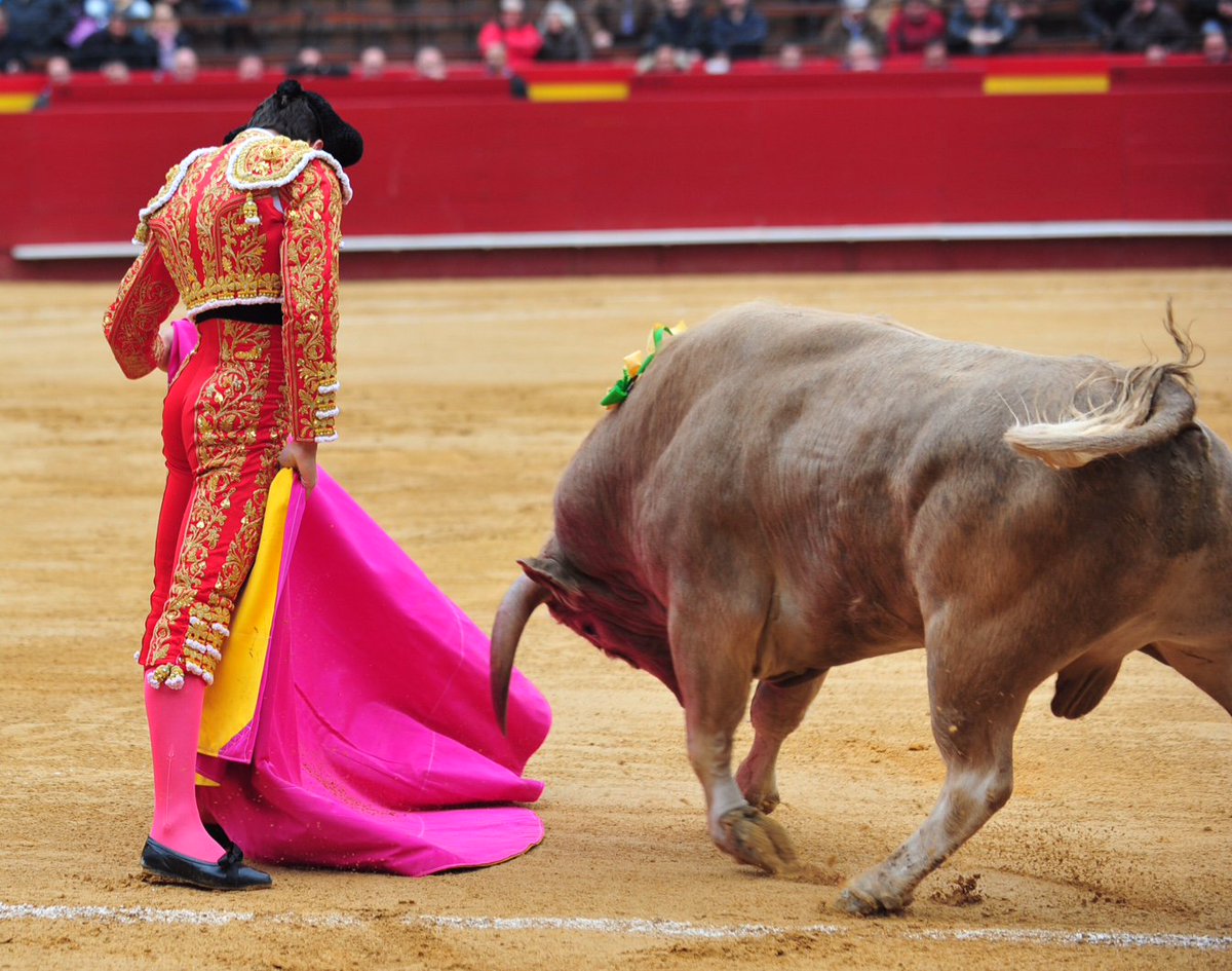 EVENMARENOSTRUM's tweet photo. más imágenes de la tarde de hoy en Valencia
#Fallas2016 https://t.co/9b7whQKbqa