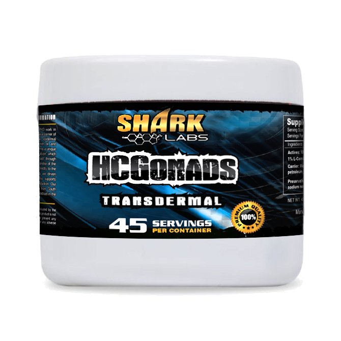Shark Labs (@Shark_Labs) / Posts / X